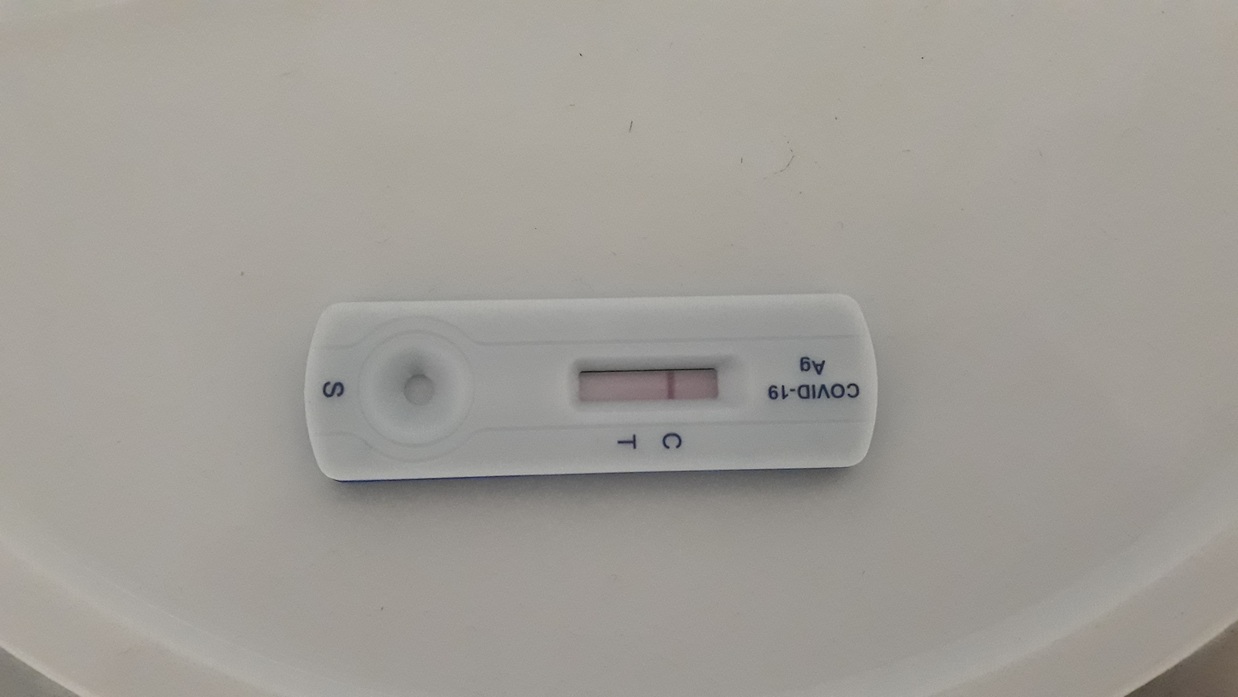 Covid Test Negativ