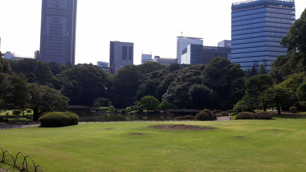 park mit der tokio skyline im hintergrund