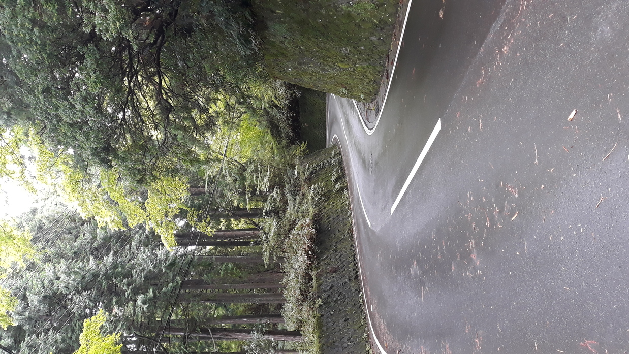weg in den bergen