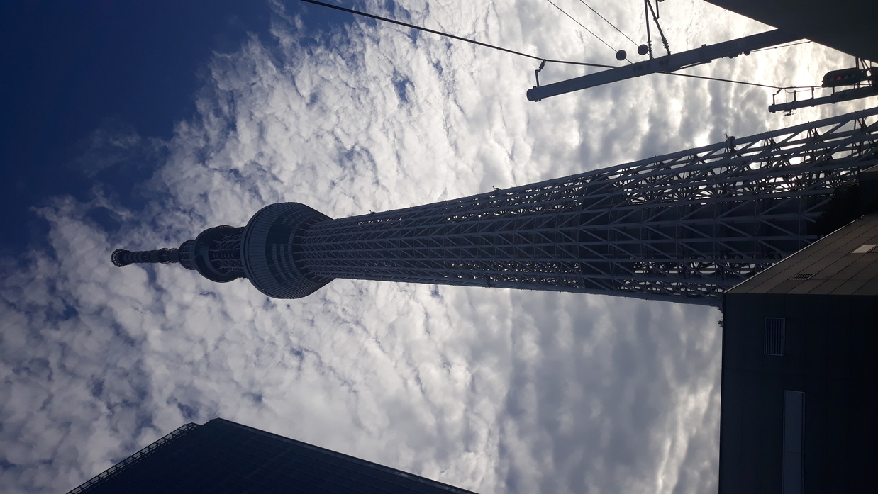 skytree