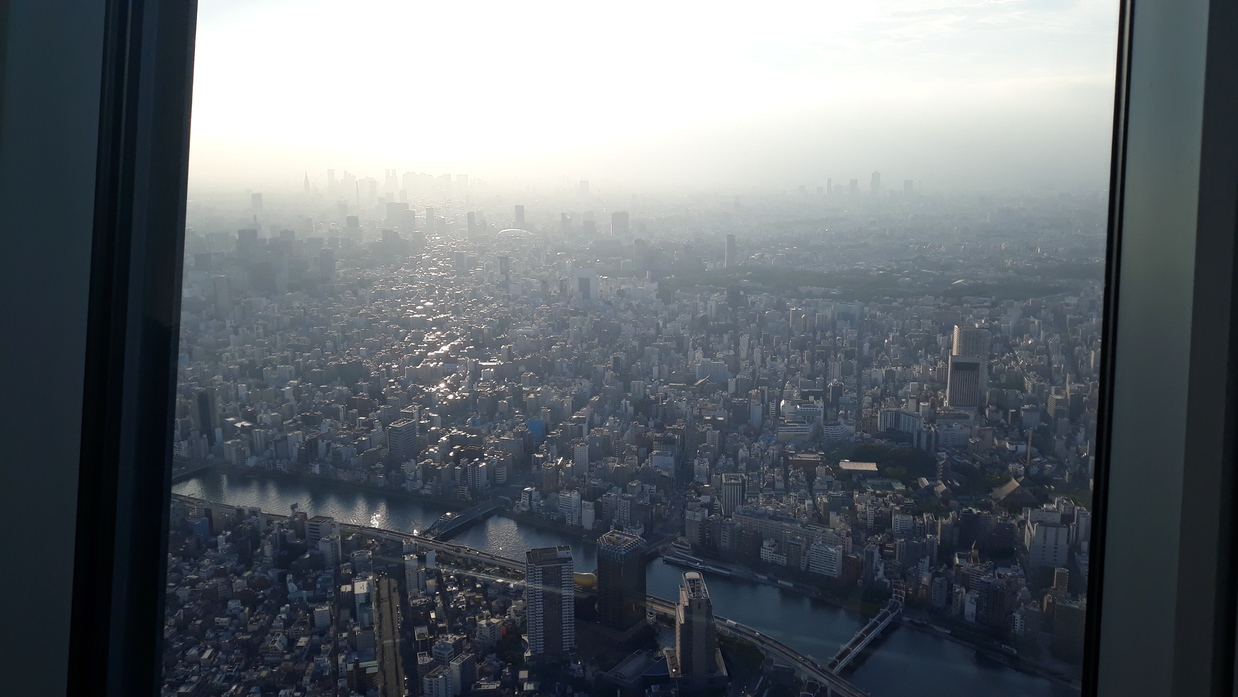 skytree