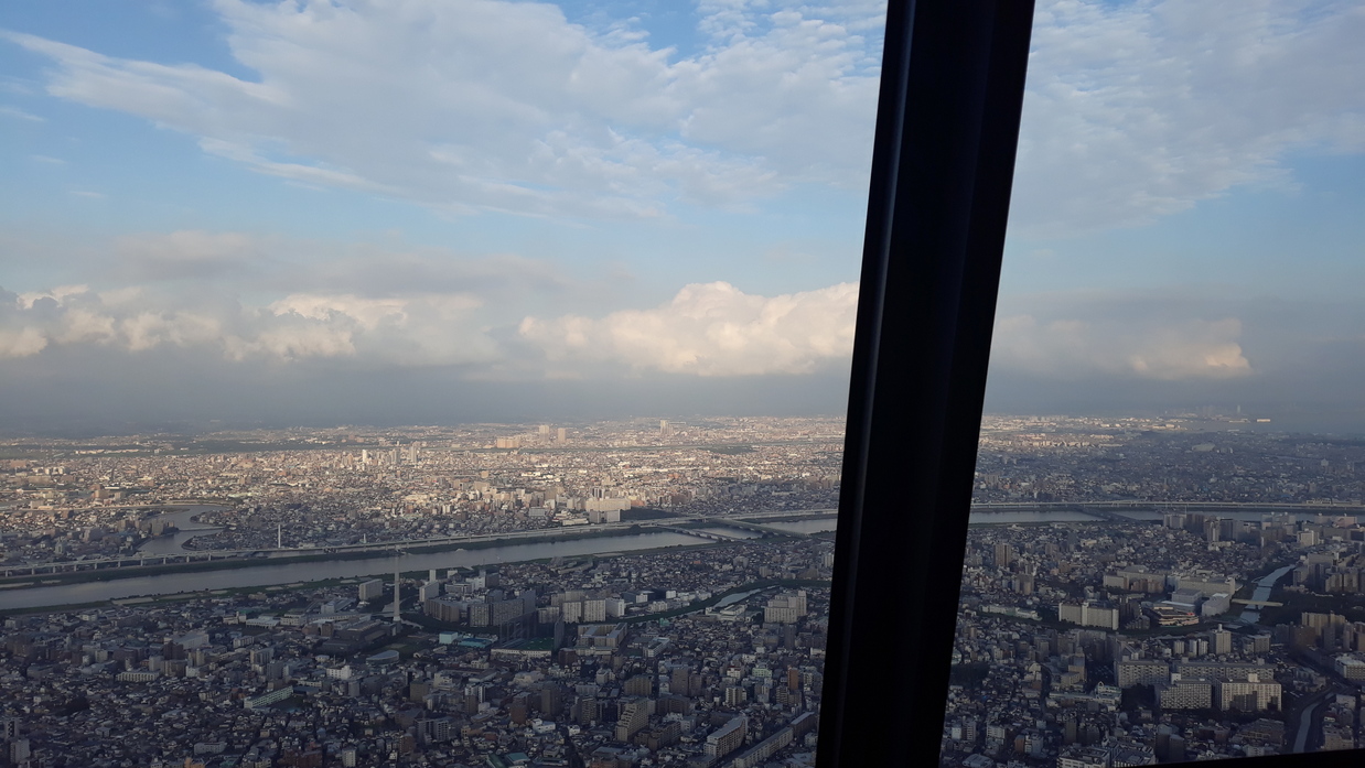 skytree