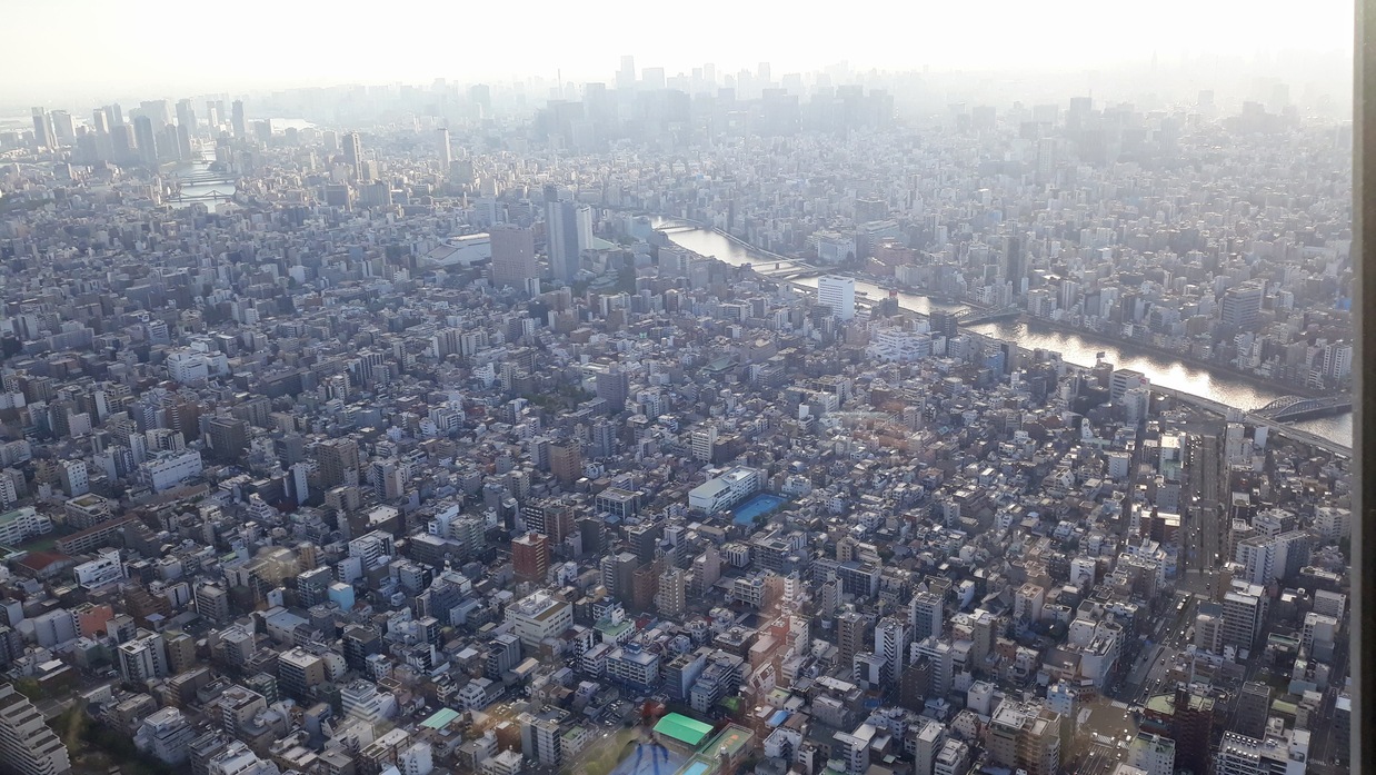 skytree