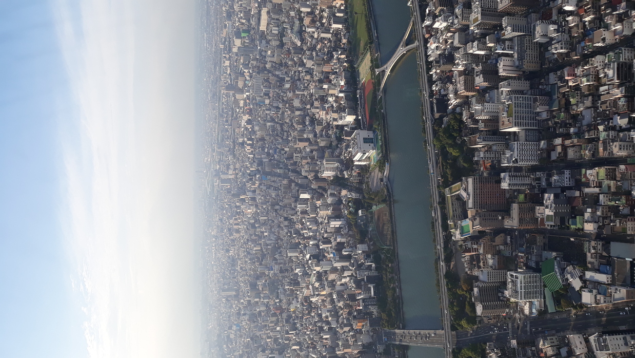 skytree