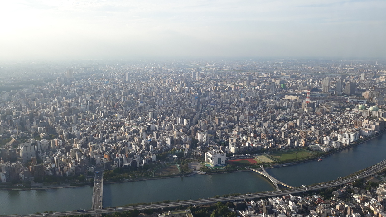 skytree