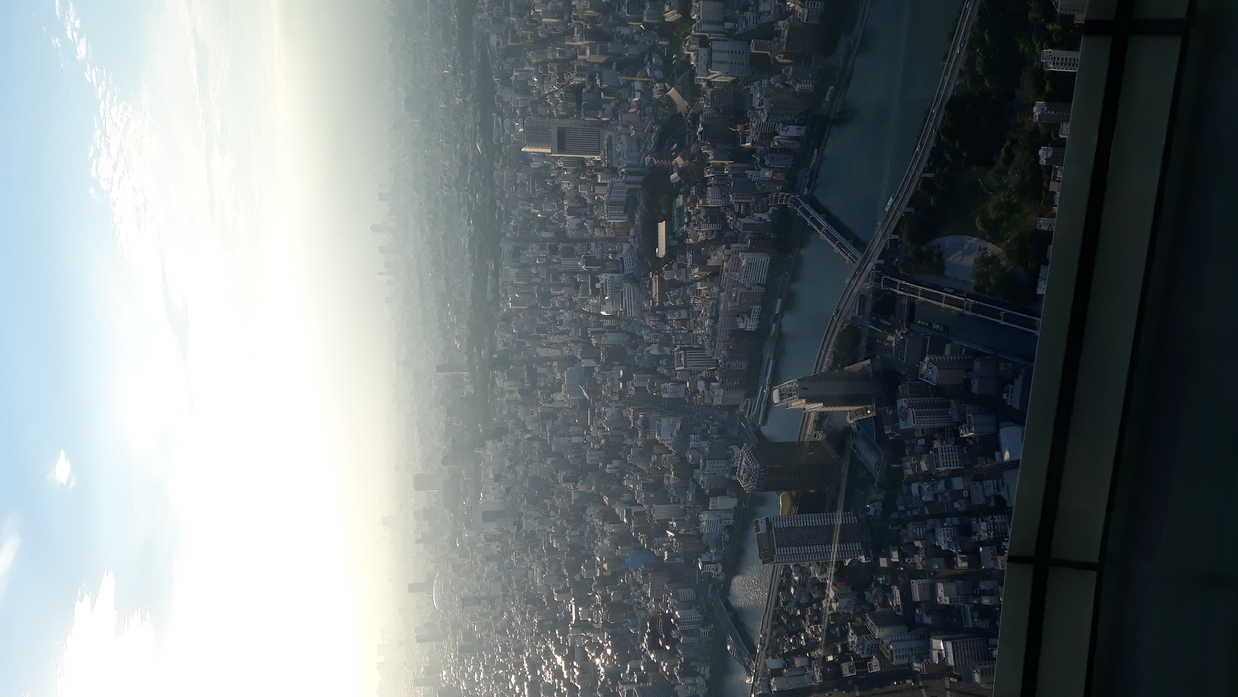 skytree