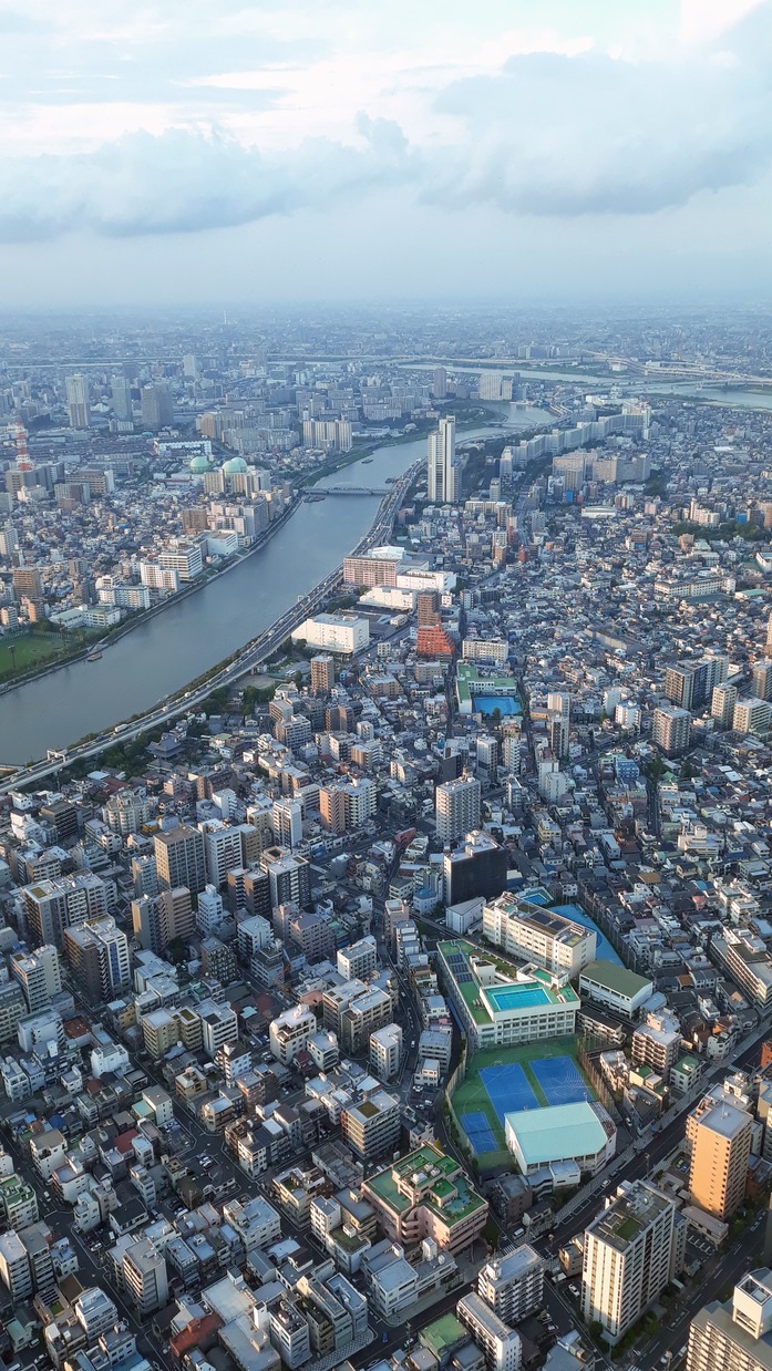 skytree