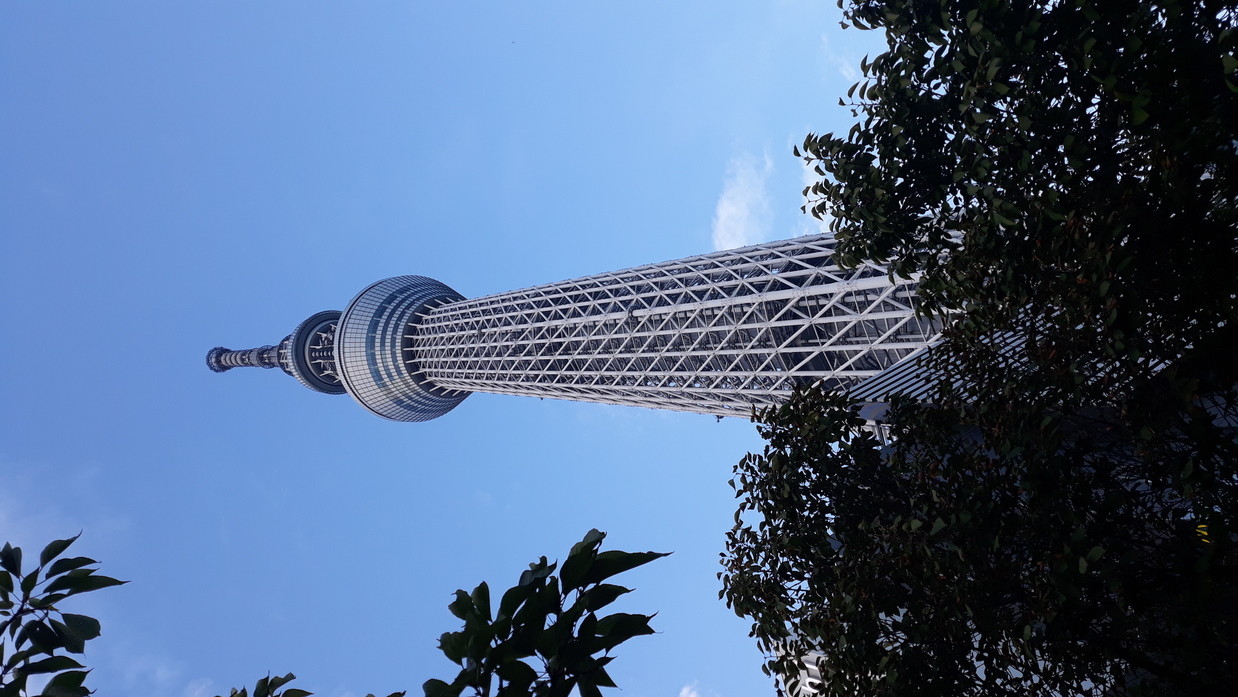 skytree
