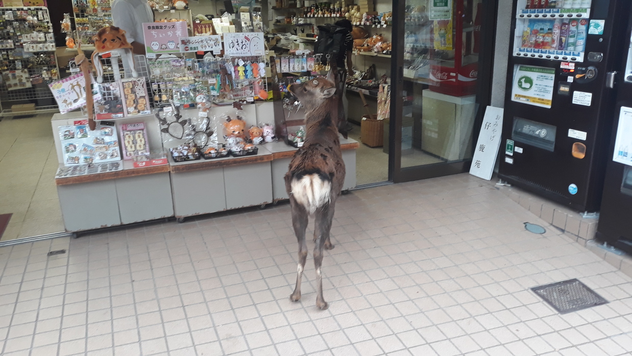 Shoppen
