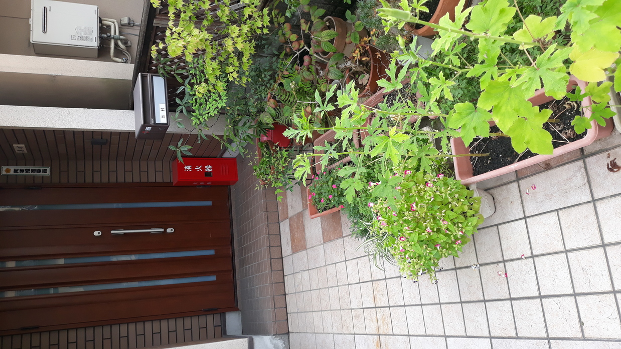 rote eimer in kyoto