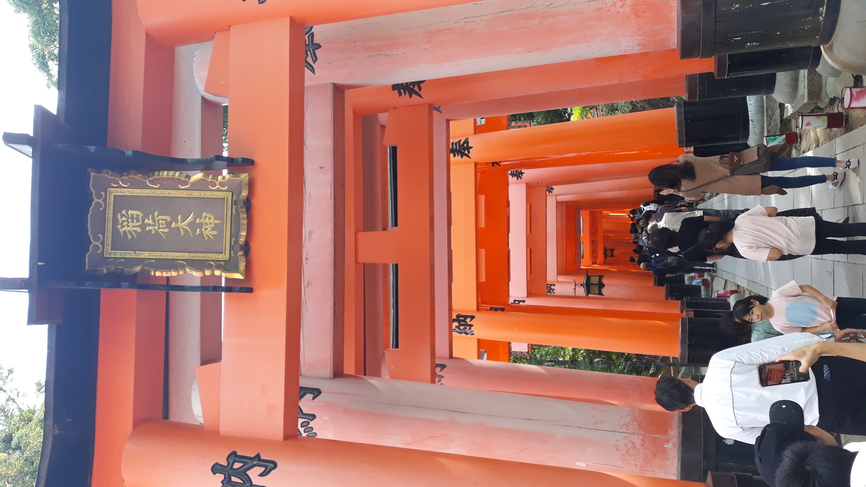 torii