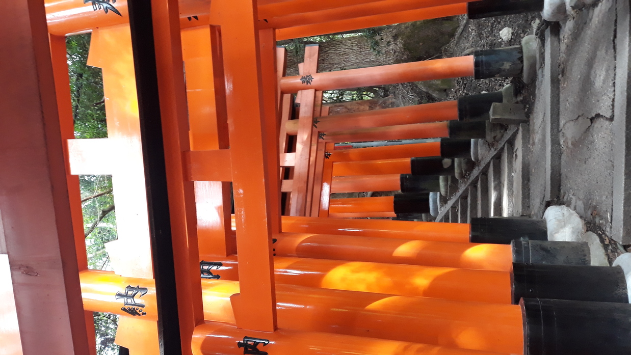 torii