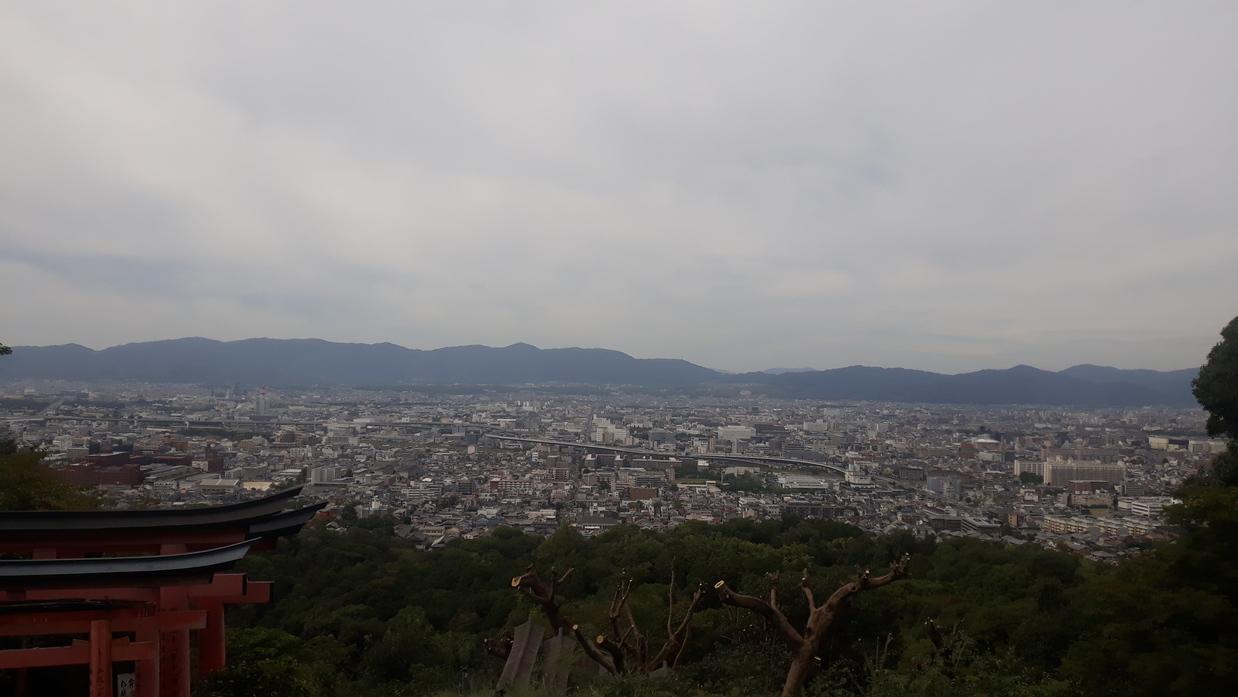 torii
